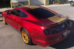 Custom Gold Stripes - Mustang